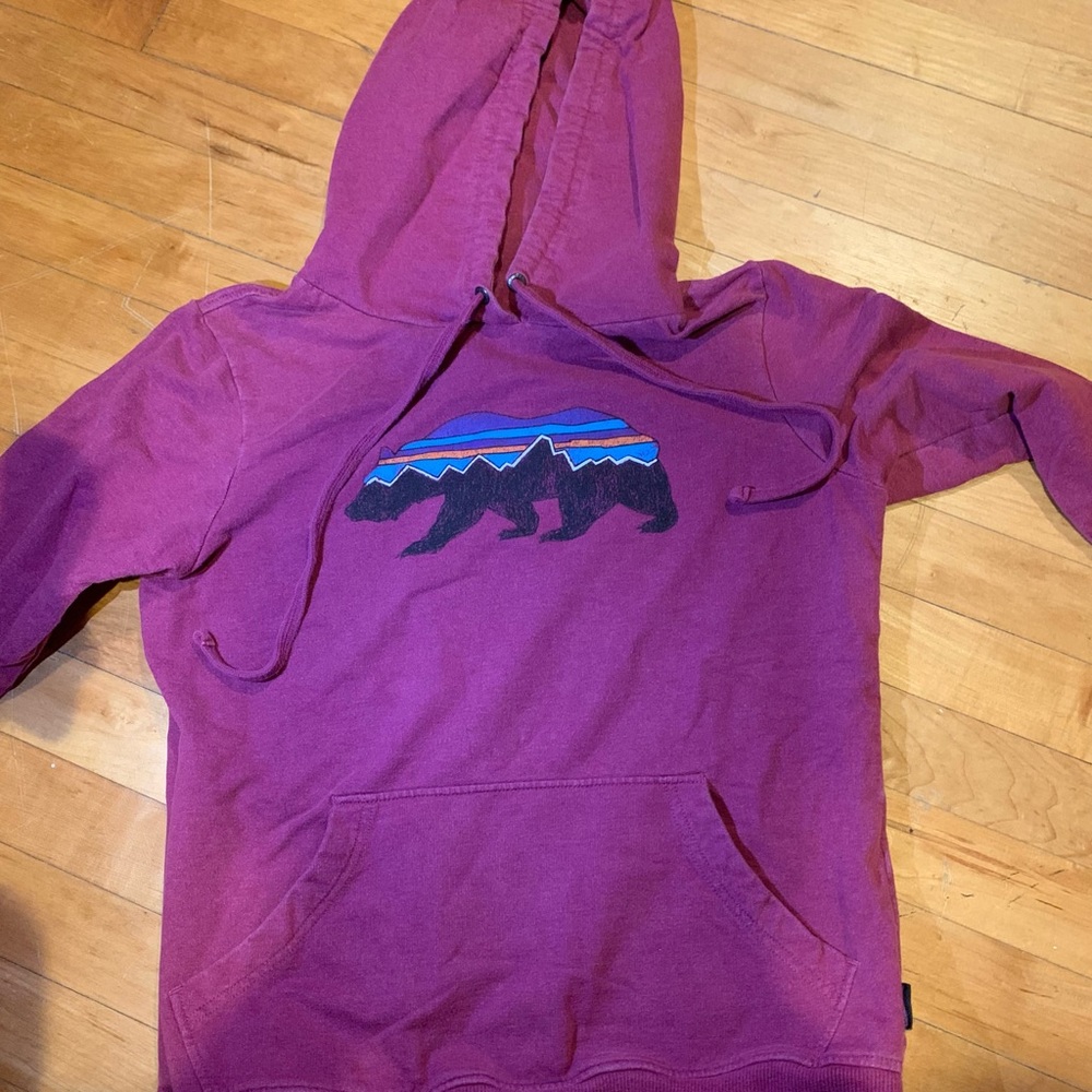 Patagonia hoodie
